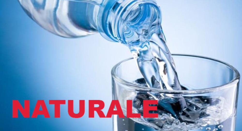 ACQUA NATURALE 1 LITRO